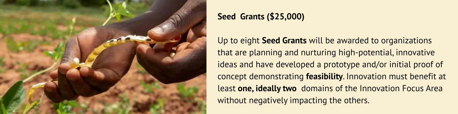 Seeding The Future Global Food System Challenge