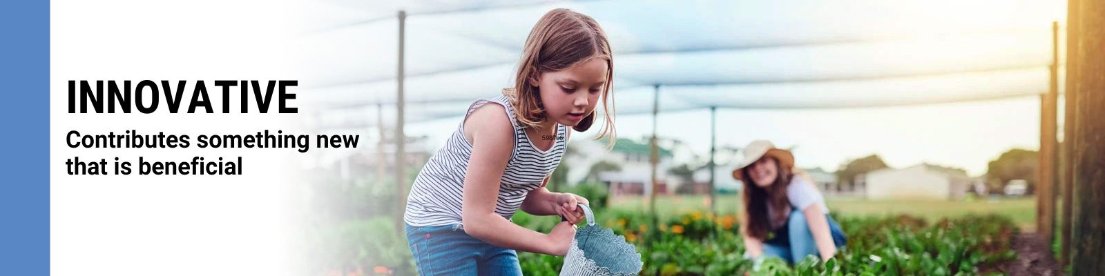 Seeding The Future Global Food System Challenge