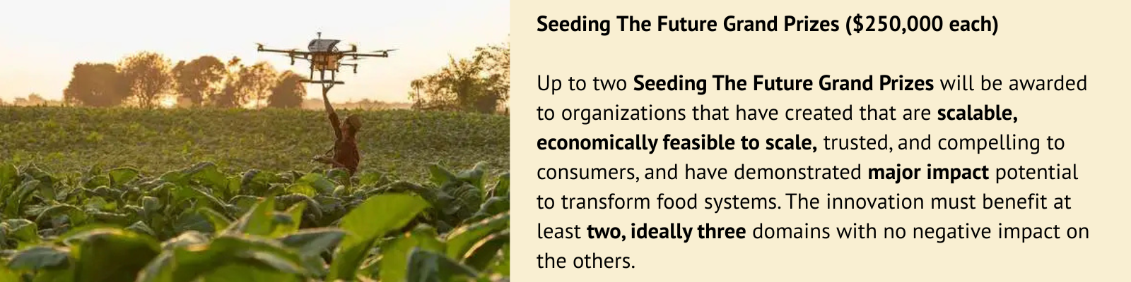 Seeding The Future Global Food System Challenge